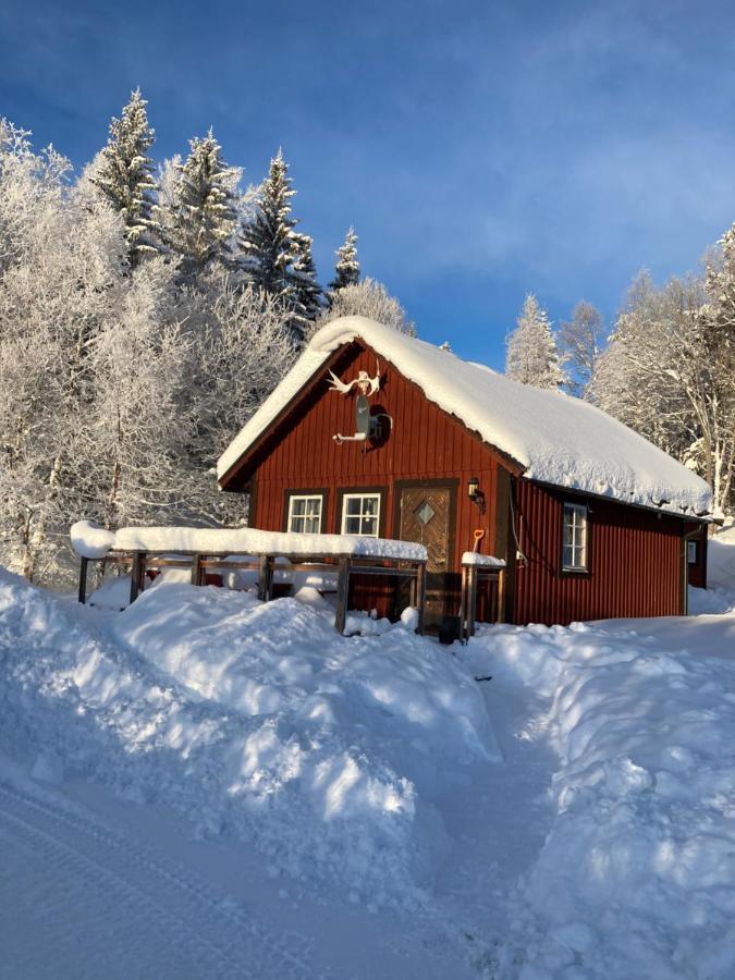 Valagardens Vaerdshus Och Camping Ab Vålådalen المظهر الخارجي الصورة
