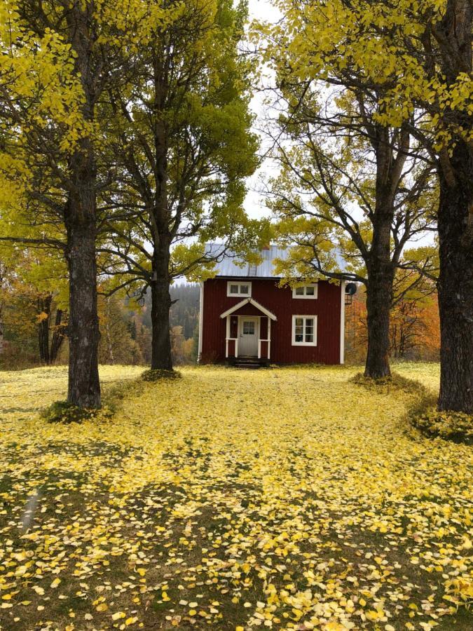 Valagardens Vaerdshus Och Camping Ab Vålådalen المظهر الخارجي الصورة