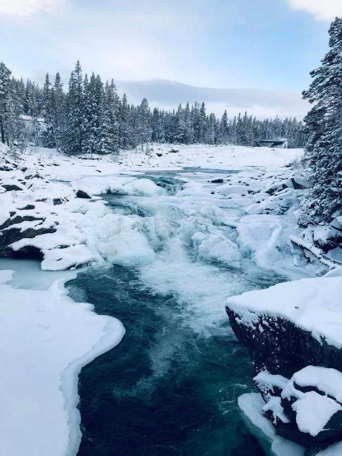 Valagardens Vaerdshus Och Camping Ab Vålådalen المظهر الخارجي الصورة