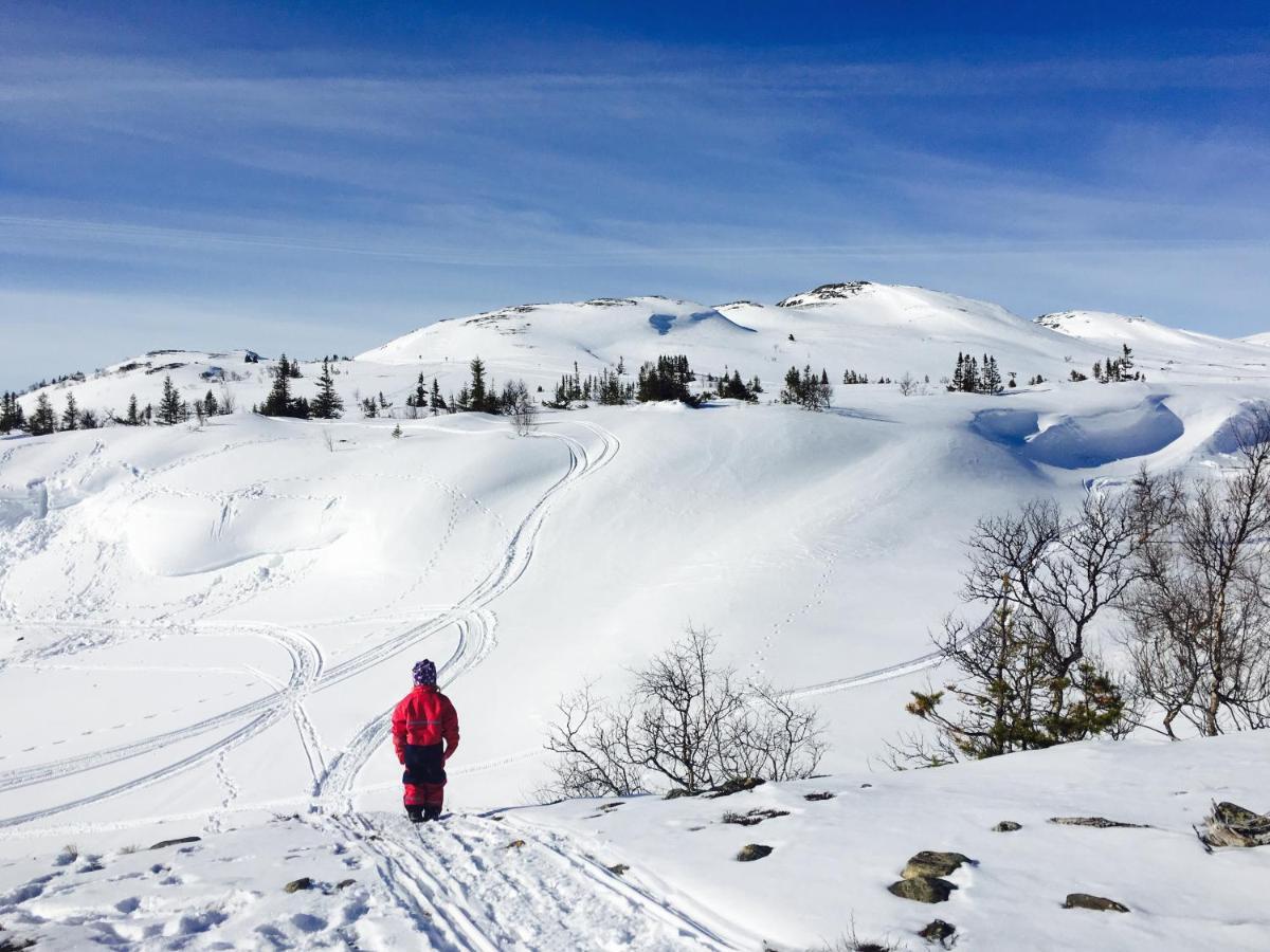 Valagardens Vaerdshus Och Camping Ab Vålådalen المظهر الخارجي الصورة