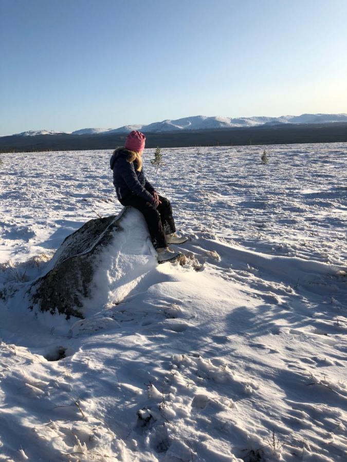 Valagardens Vaerdshus Och Camping Ab Vålådalen المظهر الخارجي الصورة
